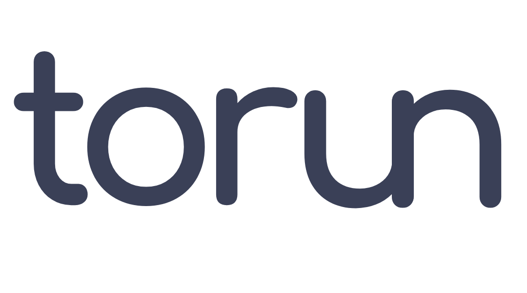Logo Torun cinza horizontal